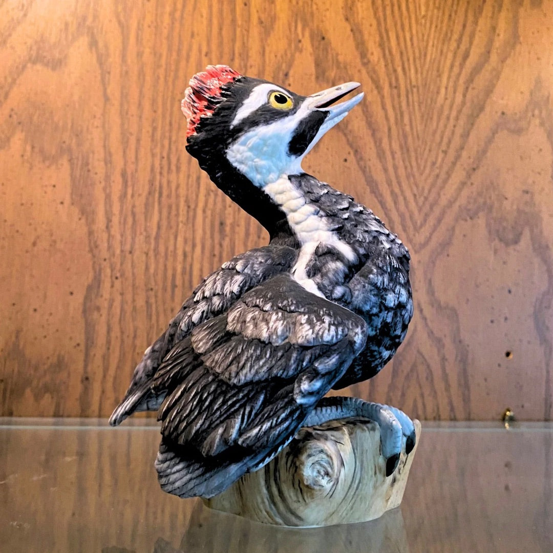 Boehm Fledging Pileated Woodpecker side view 1