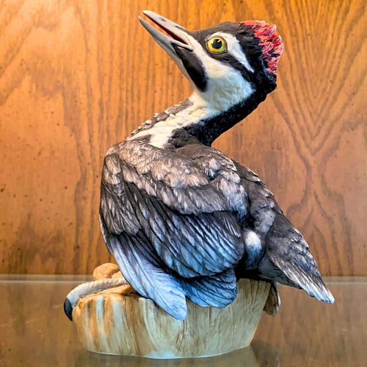 Boehm Fledging Pileated Woodpecker side view 2